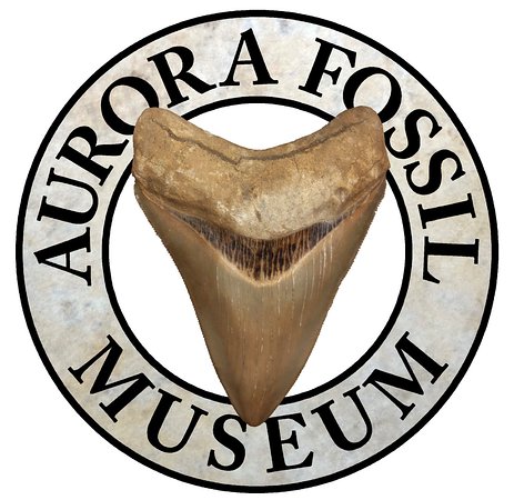 Aurora Fossil Museum.jpg